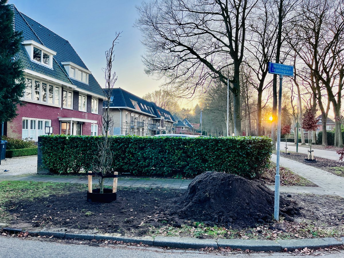Tuinwijk Sterrebosch tweet media