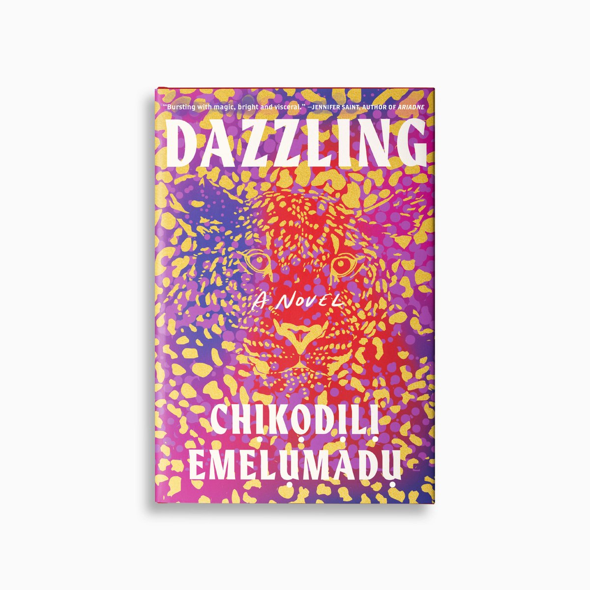 chemelumadu's tweet photo. Behold, brethren! The cover for #DazzlingUS has landed! @overlookpress https://t.co/g1liBRes6g