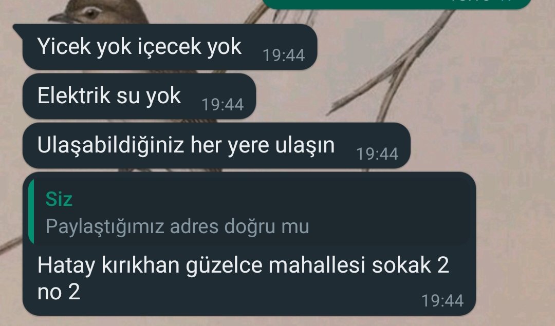 Arkadaşlar lütfen rt yapalım, hâlâ yardım ulaşmadı. Yiyecek, içecek, su, elektrik yok.... @OguzhanUgur @PincTivi @haluklevent @AFADHatay @HatayBSB @HatayValiligi @Ahbap_Hatay #HatayinSesiniDuyun #hatayyardimbekliyor