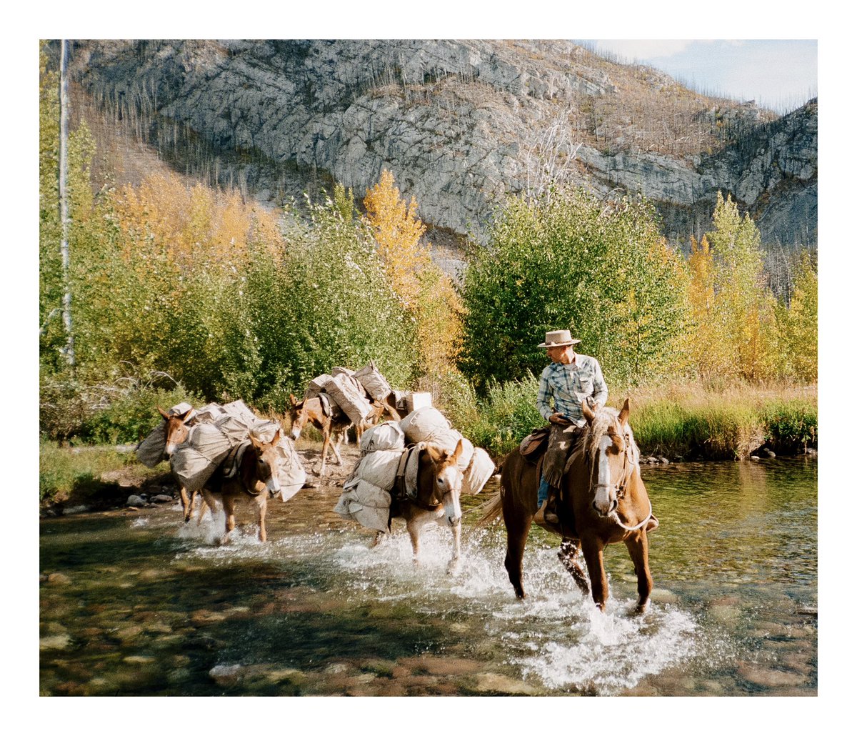 River crossing in the Bob. #bobmarshallwilderness #mules #wildernessculture