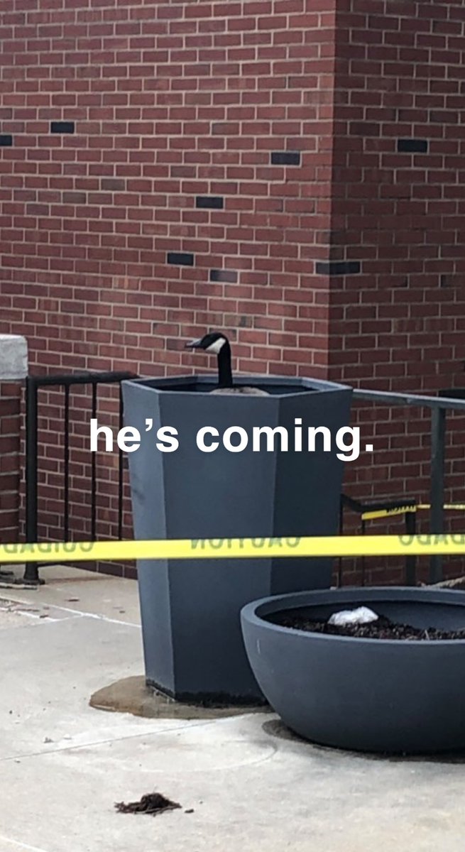 BarstoolILLSt's tweet photo. Spring time only means one thing around these parts… https://t.co/zFcPskB8Fl