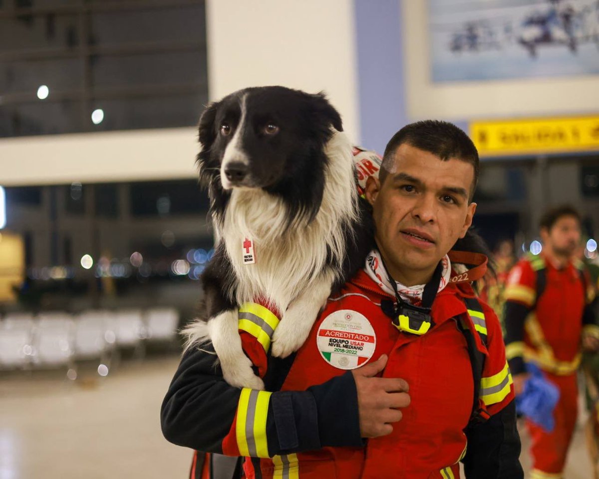 revista_pps's tweet photo. 16 binomios caninos de instituciones como SEDENA, SEMAR y Cruz Roja Mexicana, viajan rumbo a Turquía para apoyar en las labores de rescate por el sismo que afectó Turquía y Siria. ¡Nuestros héroes caninos!
Fotos: @m_ebrard
#heroescaninos #perrosdebusqueda #perrosderescate https://t.co/phCffbiP84