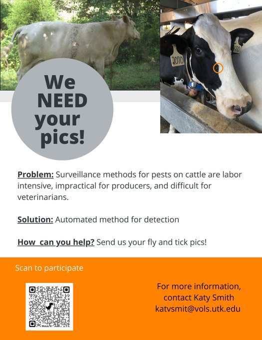 Katy Smith tweet media