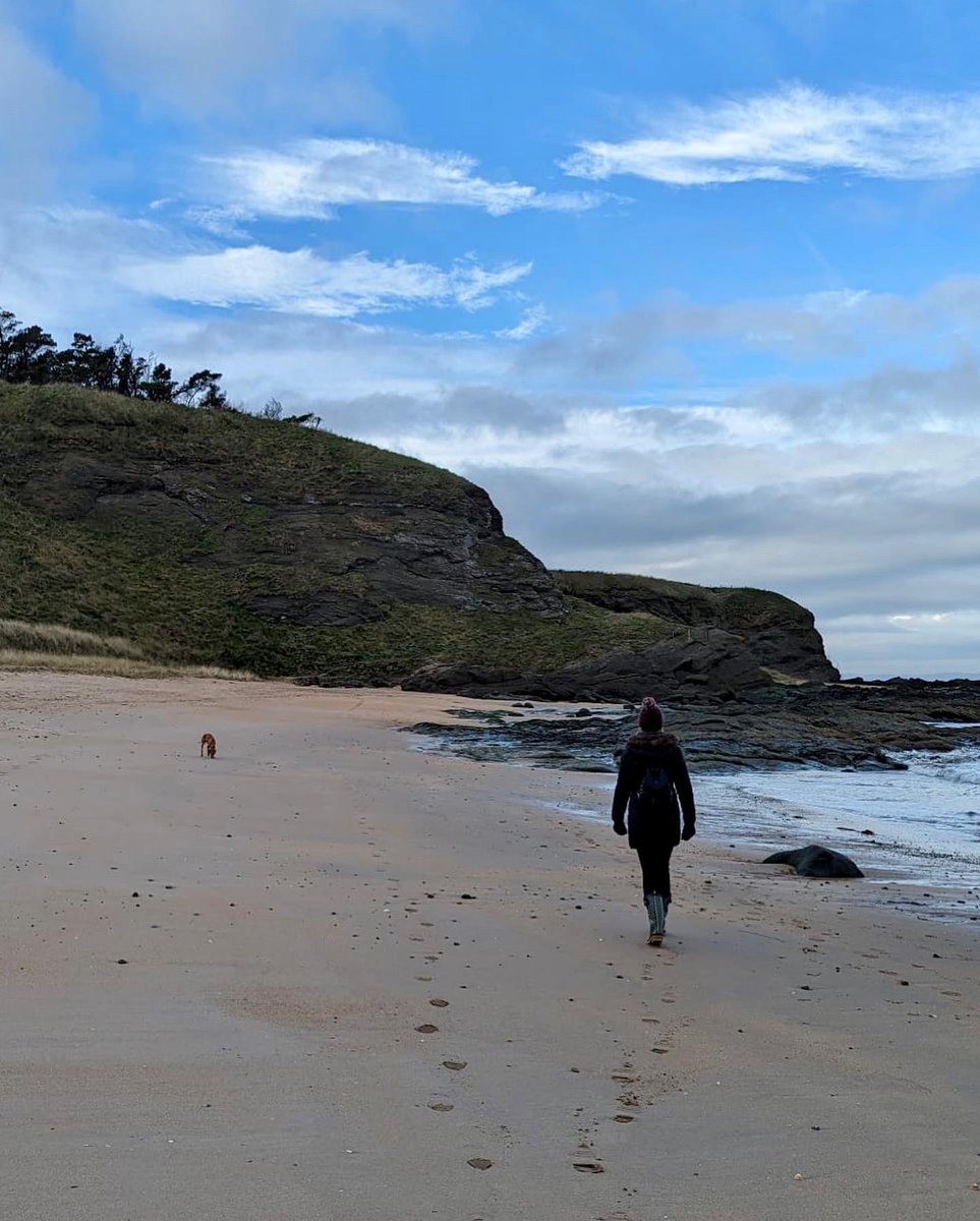 😌 When you get a beach all to yourselves 🐚