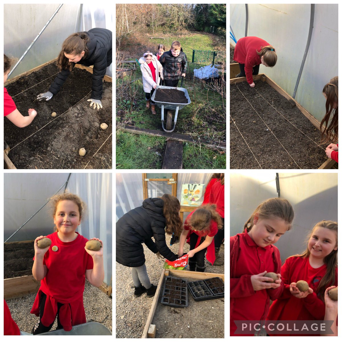 LiaGriffiths's tweet photo. @PengamYear5 @PengamYear6 we were busy today planting potatoes, onions and broad beans @GrowWildWales https://t.co/VttTEea1b6