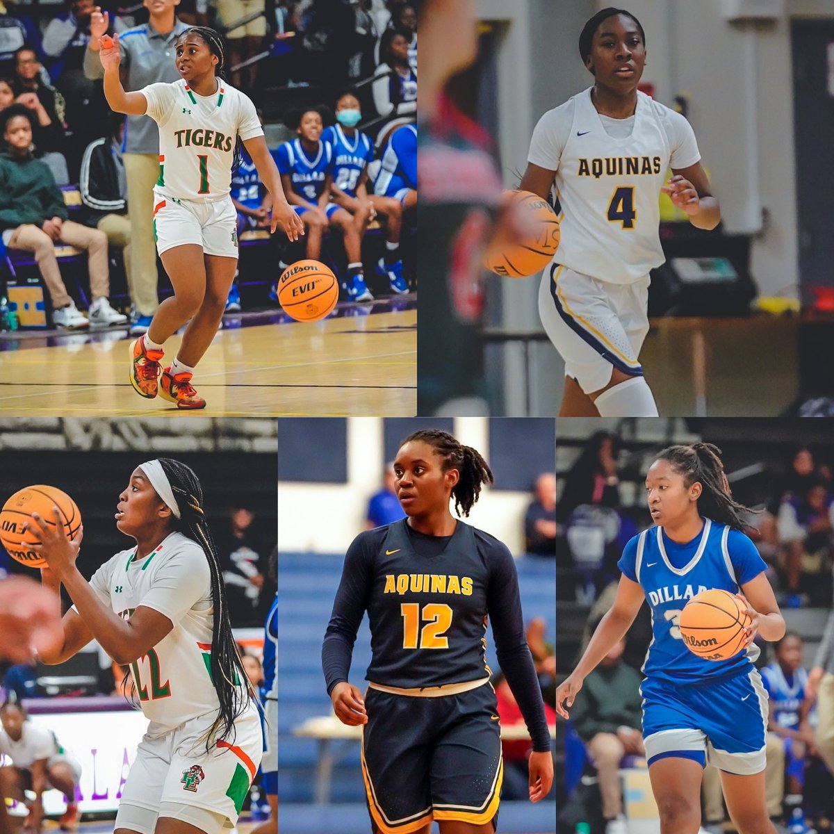 Sleeper Athletes Ladies Basketball (@sathleteslbb) on Twitter photo 2022 #Broward All-Sleepers 1st Team from the Class of 2023-2024
Ashleigh Battle, Ely, 2023 (<a href="/AshunoB/">AshUno_Battle™</a>)
Karina Gordon, STA, 2023 (<a href="/gordonnkarina/">Karina Gordon</a>)
Gianna Corbitt, Ely, 2024 (<a href="/GiannaCorbitt/">Gianna Corbitt</a>)
Reina Green, STA, 2023 (<a href="/reinagreenn/">ReinaG12</a>)
Khyala Ngodu, Dillard, 2023 (<a href="/KNgodu35/">Khyala Ngodu</a>) 2022 #Broward All-Sleepers 1st Team from the Class of 2023-2024
Ashleigh Battle, Ely, 2023 (<a href="/AshunoB/">AshUno_Battle™</a>)
Karina Gordon, STA, 2023 (<a href="/gordonnkarina/">Karina Gordon</a>)
Gianna Corbitt, Ely, 2024 (<a href="/GiannaCorbitt/">Gianna Corbitt</a>)
Reina Green, STA, 2023 (<a href="/reinagreenn/">ReinaG12</a>)
Khyala Ngodu, Dillard, 2023 (<a href="/KNgodu35/">Khyala Ngodu</a>)