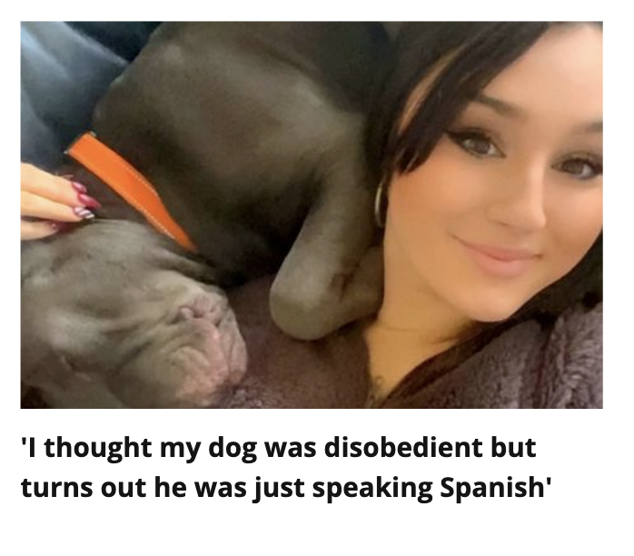 CrapLocalNews's tweet image. Breaking news: