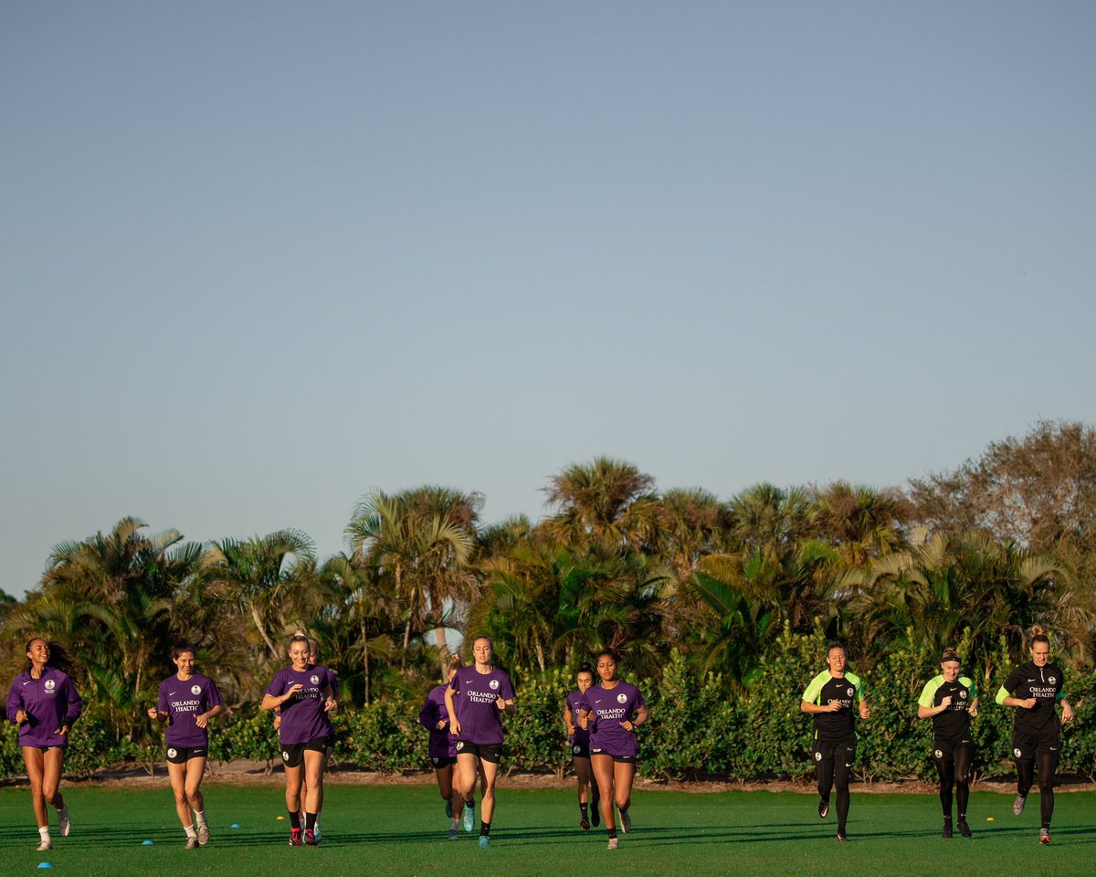 A little change in scenery 🌴