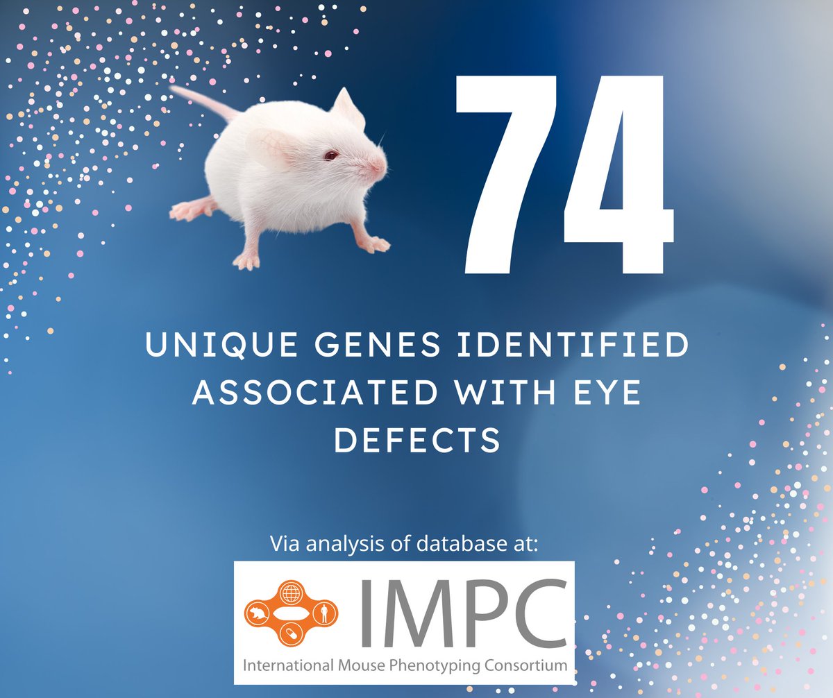 Mutant Mouse Resource & Research Centers (@MMRRC) / Twitter Mutant Mouse Resource & Research Centers (@MMRRC) / Twitter