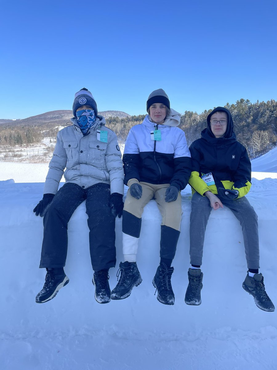 Lisa Perri (Bettelli) tweet media