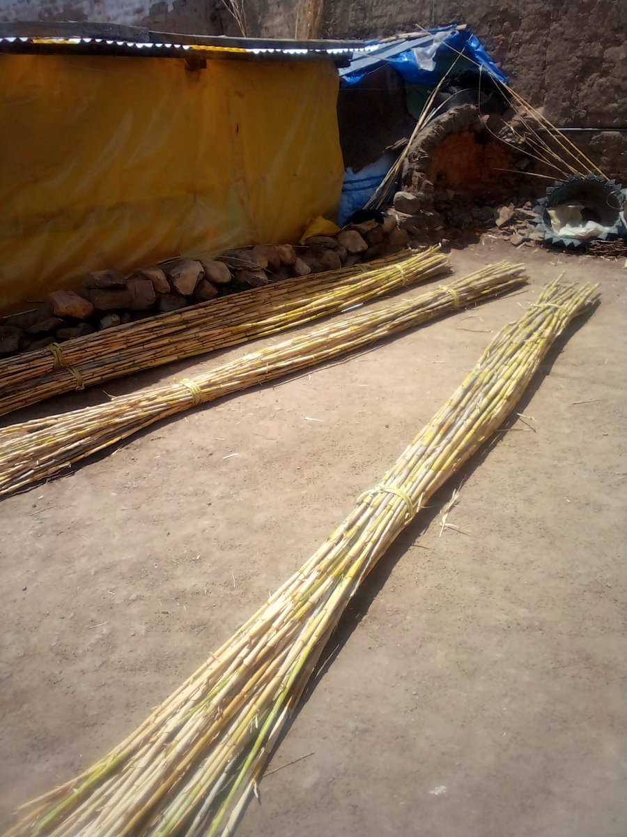 BoliviaRegimen's tweet photo. En cumplimiento al programa Cárceles Productivas, en la cárcel de #Tarabuco, del depto. de #Chuquisaca, #ppl fabrican canastas ecológicas que son ofertados en los mercados de la ciudad de #Sucre.  
#UnidosHaciaElBicentenario 
#lareinserciónsocialesposible 
#CárcelesProductivas https://t.co/U3EN5wtHda