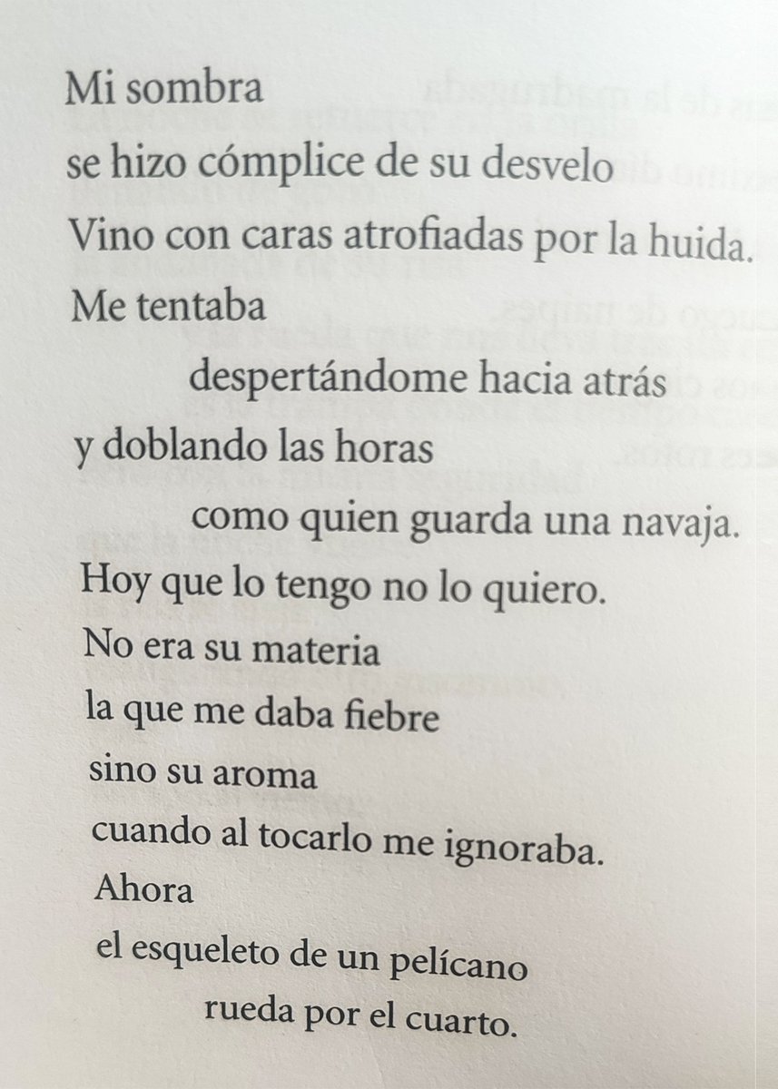 ✍️

Poesía 
de María Aveiga del Pino

Bajo qué carne nos madura

Mi sombra...