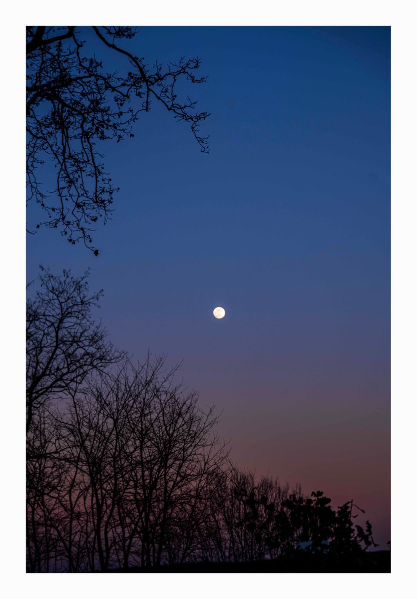 La lune ! Un point c'est tout !
#Toulouse #canaldumidi
4 février 2023