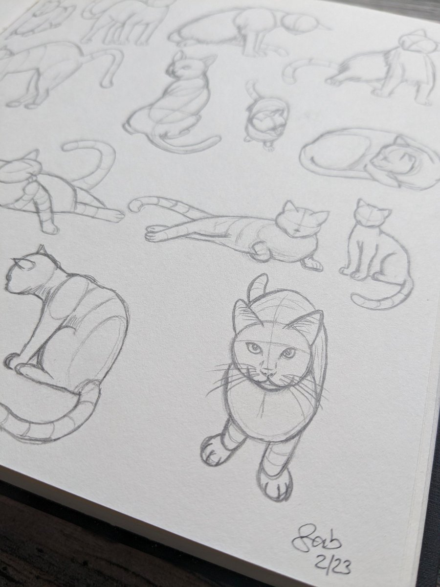 Katzen üben. #zeichnenlernen #katze