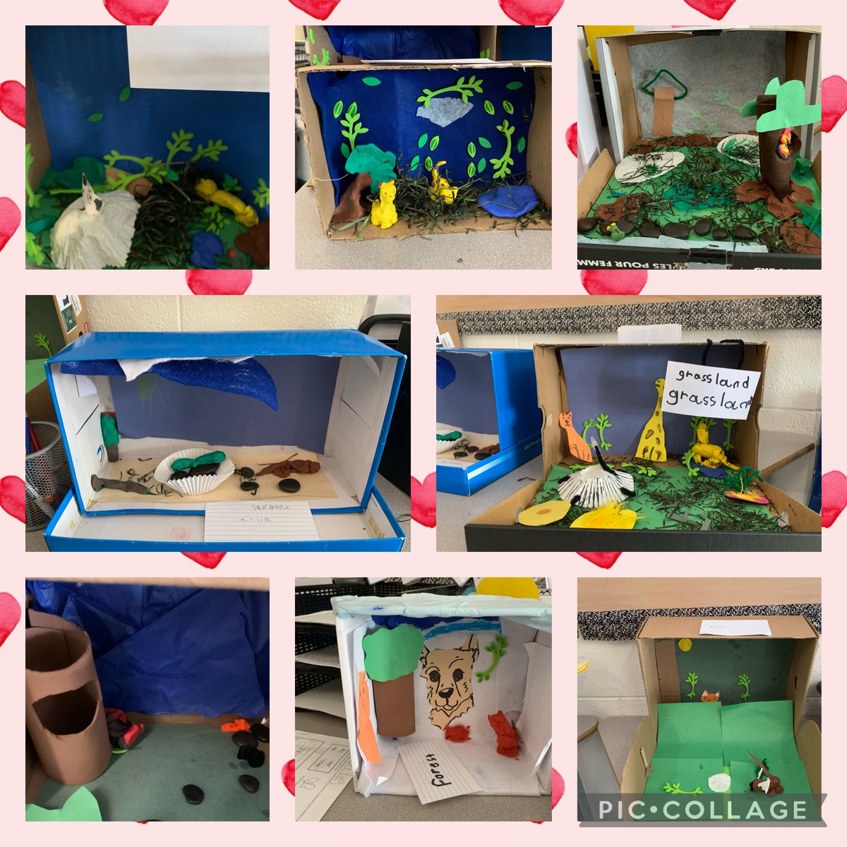 Wow, ⁦<a href="/SwarupKelsey/">Ms. Swarup</a>⁩ your Grade 1/2s did a great job with their habitats! ⁦<a href="/JohnPaulIIOCSB/">St. John Paul II School</a>⁩ #ocsbScience