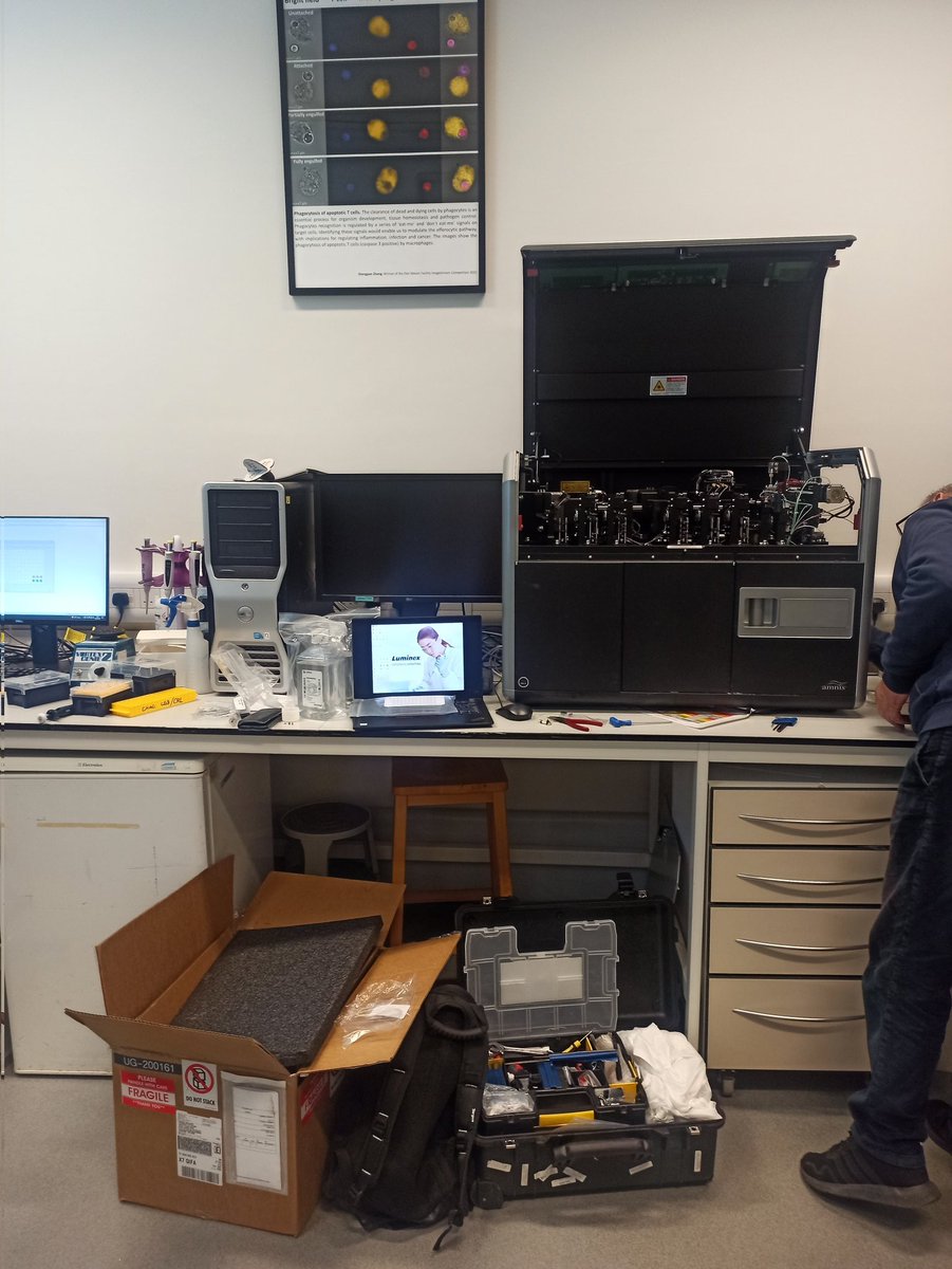 TheDonMasonFlow's tweet photo. We are so excited we installed aur plate reader on our Imagestream today!! Can't wait to use it!
#flowcytometry #imaging #imagingcytometry #theDonMasonFacility #cellsorting https://t.co/AIzGhDAZWP