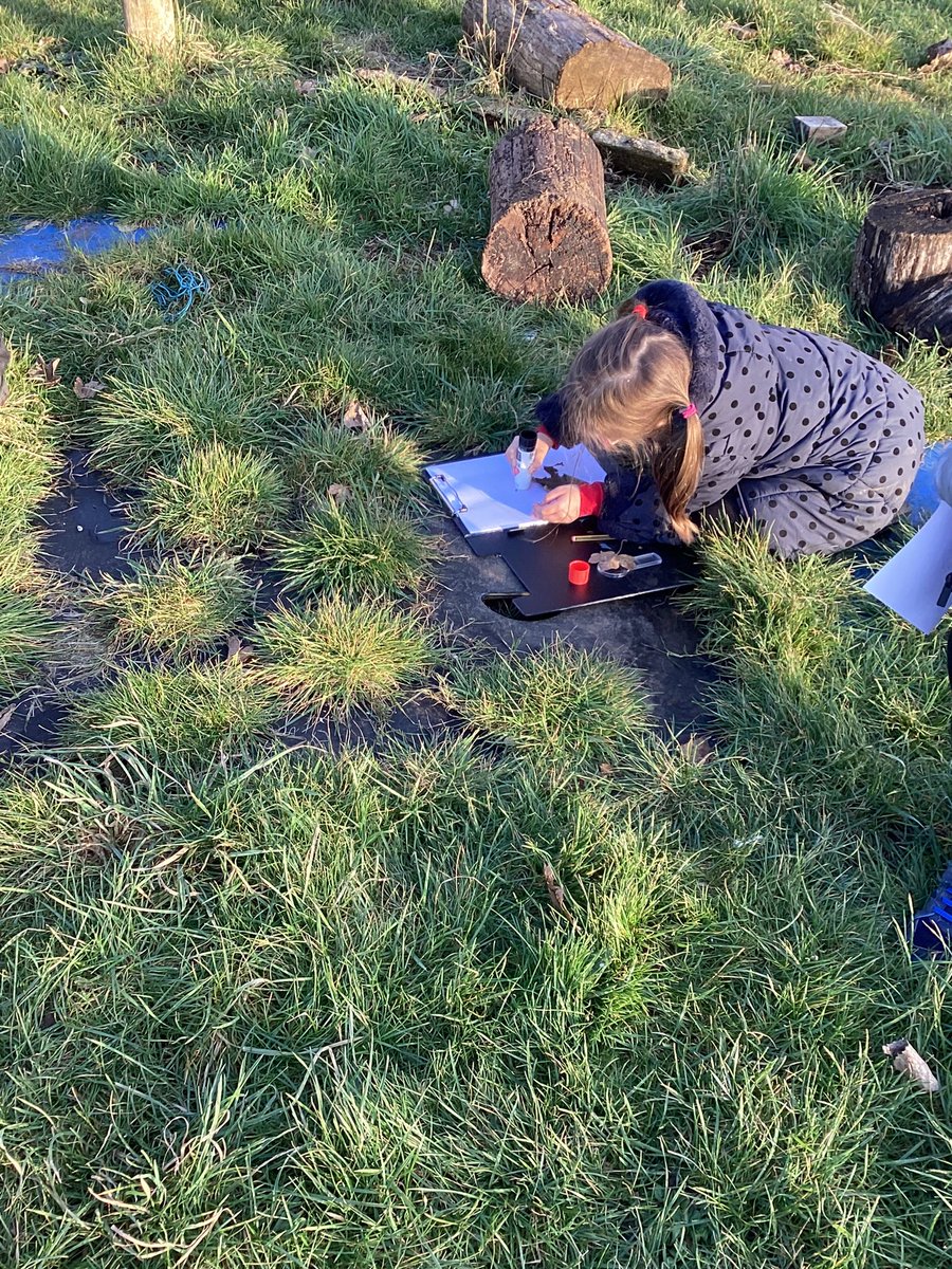 KS1 STEM Club had a fantastic time exploring our outdoor area today. We made observations and drew some of these. We had lots of fun! #sciencecapital @Dret_Enrichment @RockinghamPri