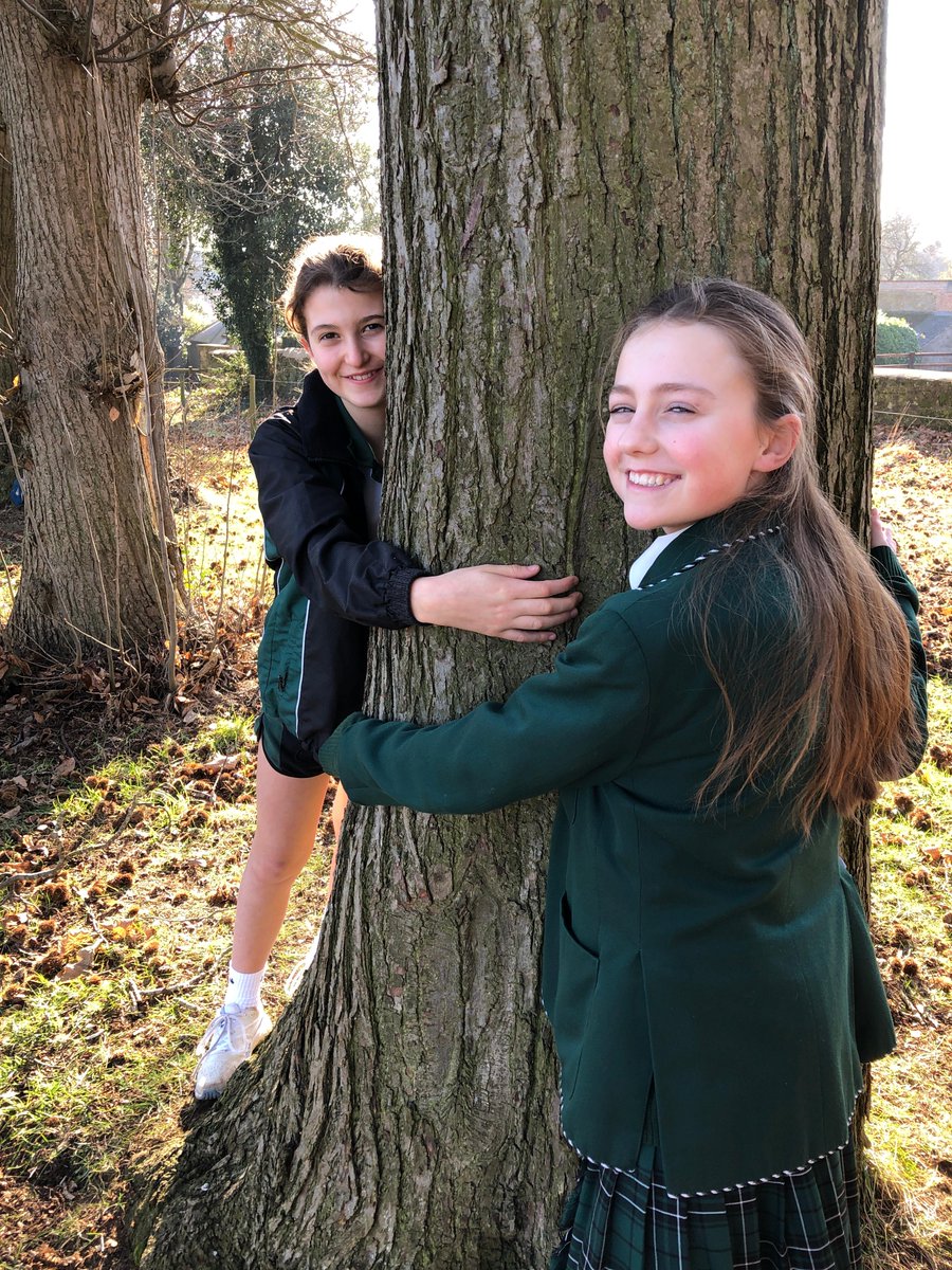 Spratton Hall tweet media