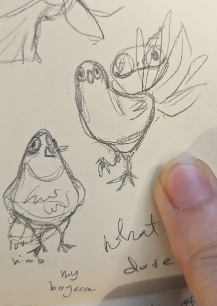 Does_Clemence's tweet photo. @Notideeart My son, Potato, and some pigeon sketches 🕊️ https://t.co/Mgxdj13VV0