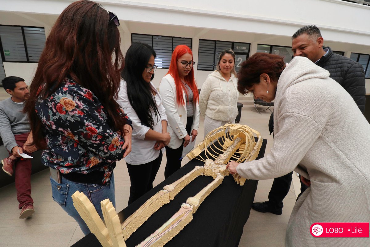 UAD Campus Zacatecas tweet media