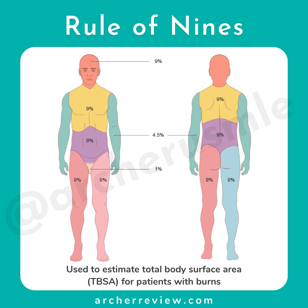 Archer USMLE Review tweet media