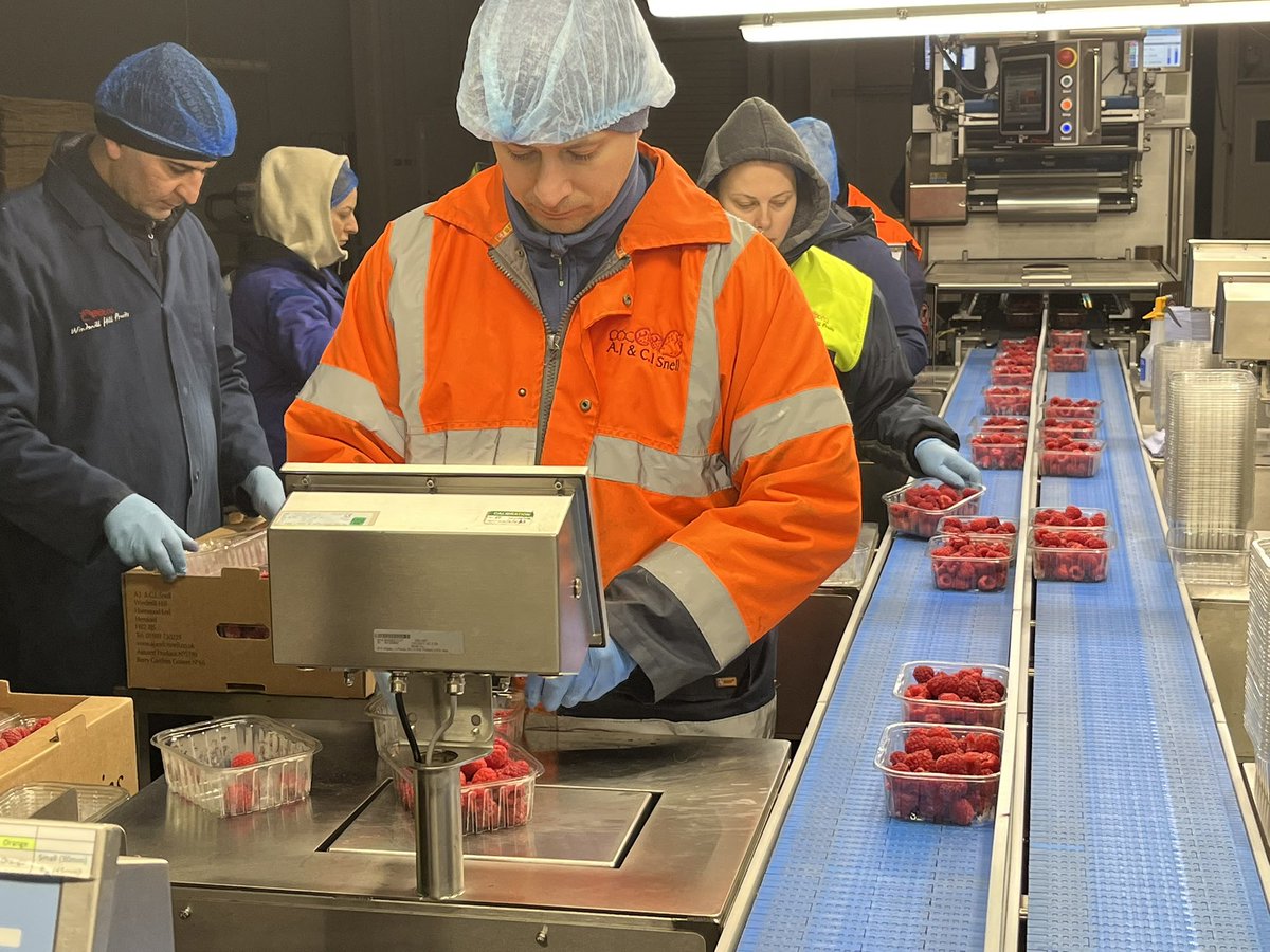 Busy day today with sunshine after frost! Pleased that #Sustainable Irrigation lakes nicely full. Our staff organised by <a href="/DeardsTom/">Tom Deards</a> busy putting up Polytunnels, Pruning Raspberries and packing <a href="/WindmillHFruits/">Windmill Hill Fruits</a>  for <a href="/marksandspencer/">M&S</a> lovely #Frozen #Raspberries