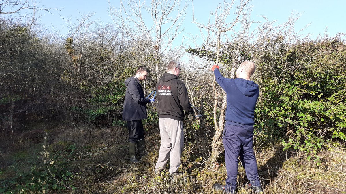 Natures_HavenIT's tweet photo. Continuing clearing but also burning, safely, the wood and bramble. The meadow is looking so much better. Lovely walk this afternoon too - plenty signs of #Springactivity in the animal world! @InnovateTrust @WCVACymru @Vale_LNP @ValeofGlamorgan #cosmeston #biodiversity #Autism https://t.co/aahD65hhVr