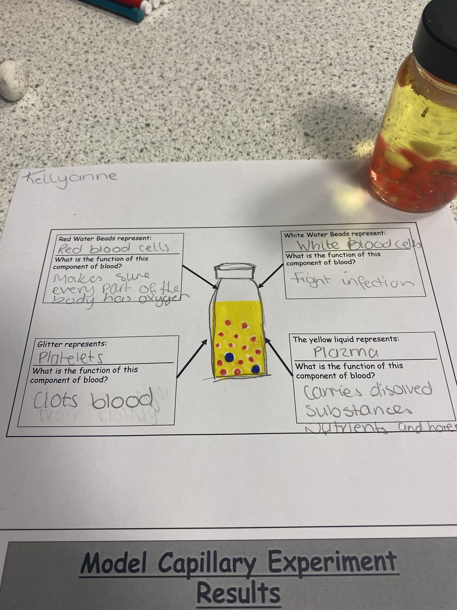 I had a lovely morning with my #skillsforwork #healthsector class <a href="/KirkintillochHS/">KHS</a> today 😊 Lots of blood based practicals with fabulously accurate blood models, blood slides and a blood capillary experiment. Fantastic work! 🩸🩸🩸#workhard #kirkyproud