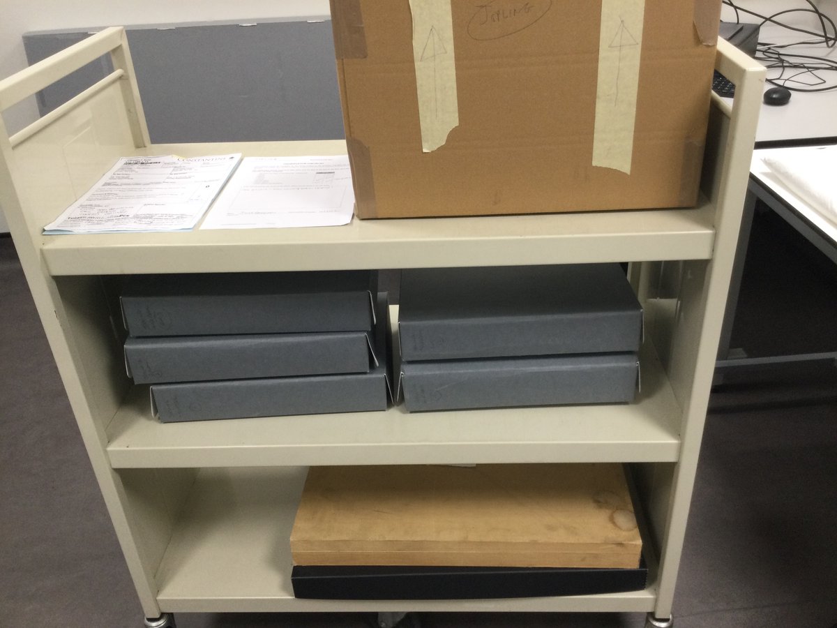 GardhamJulie's tweet photo. From trolley to catalogue to shelf to researcher, hopefully soon! Big thanks to Sam Maddra & @bluellabelle for help making this happen #Teamwork #Joplingproject https://t.co/28SZNAUp2u