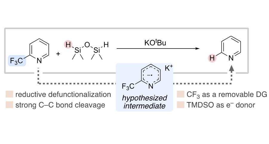 Steve Newman (@thenewmanlab) on Twitter photo The unusual behavior of KOtBu/hydrosilane continues to perplex us. No metal catalyst needed in this CF3-cleaving reductive defunctionalization of trifluoromethylpyridines. Just published in <a href="/JOC_OL/">J Org Chem/Org Lett</a>.
pubs.acs.org/doi/full/10.10… The unusual behavior of KOtBu/hydrosilane continues to perplex us. No metal catalyst needed in this CF3-cleaving reductive defunctionalization of trifluoromethylpyridines. Just published in <a href="/JOC_OL/">J Org Chem/Org Lett</a>.
pubs.acs.org/doi/full/10.10…