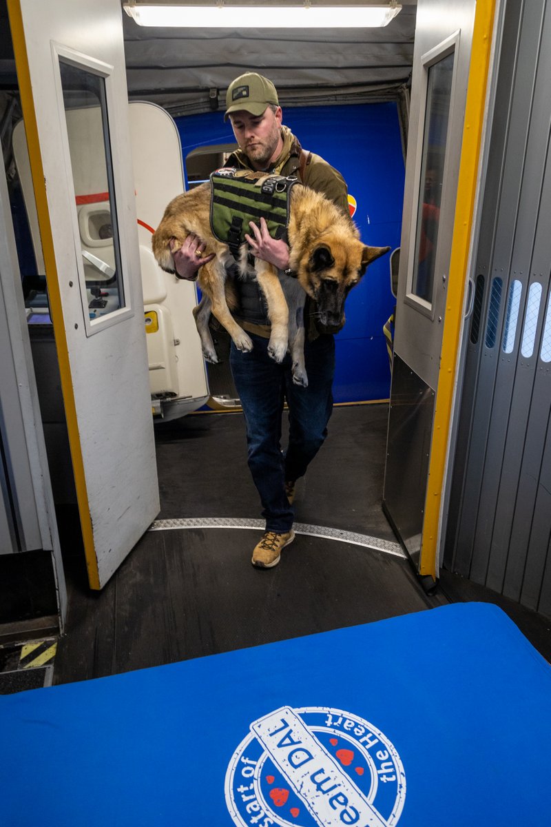 Southwest Airlines tweet media