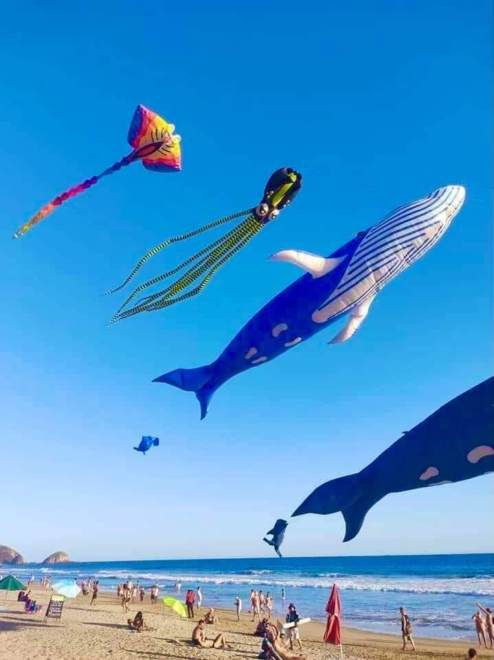 CentralQNoticia's tweet image. 🏝️🐋 Con bellos ejemplares de #papalotes gigantes en forma de fauna marina, se celebró el Festival Nudista #Zipolite,  el cual se realizó del 2 al 5 de febrero en esta playa de la costa oaxaqueña.