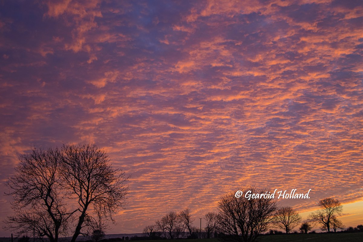 Textured sunset on a February evening over Timoleague, Co. Cork. #WestCork @pure_cork @SouthoftheN71 @wildatlanticway @ThePhotoHour