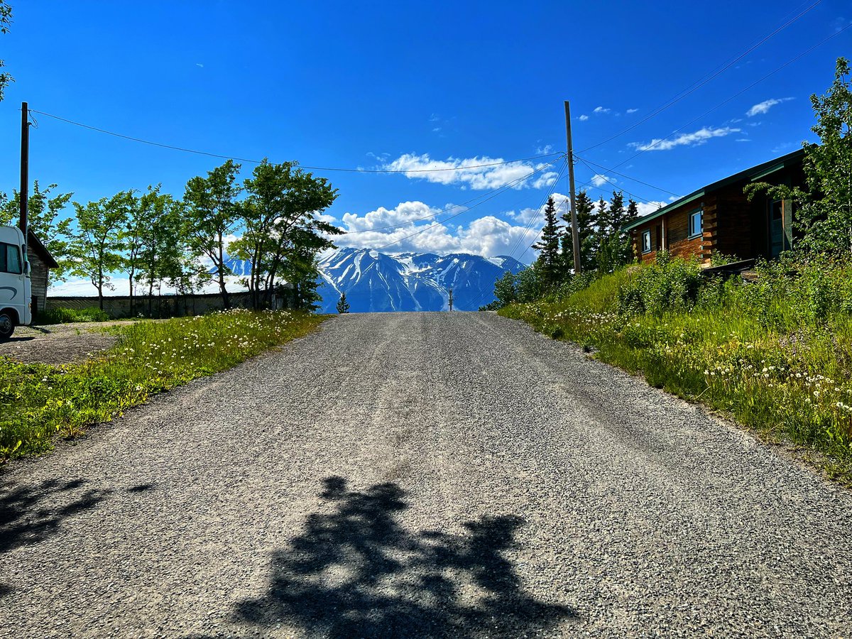 Pennan_Brae's tweet photo. The road straight ahead. Branches cast their shadow on the pavement as the road unfolds. Also unfolding is the 20-song ‘Garden Series’ rock and roll #DoubleAlbum streaming on @Spotify:

Vol. 1: https://t.co/jBRyh3iuOj

Vol. 2: https://t.co/JjwoFjqz1E

#atlin #emptyroad #rocknroll https://t.co/Kf538HTvch