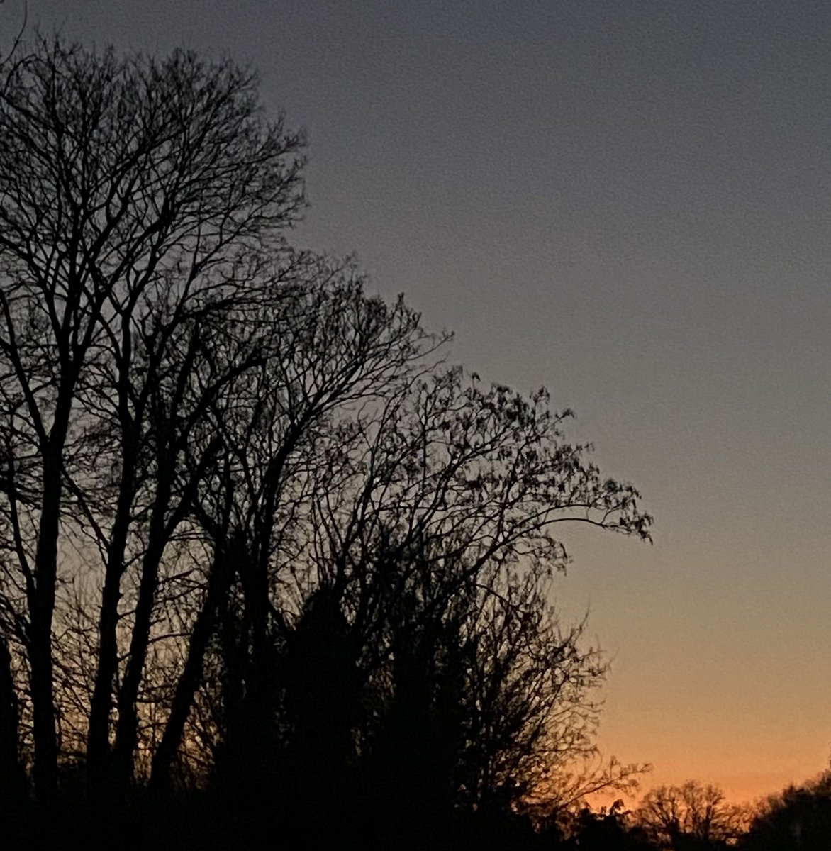 shaktimaragh's tweet image. As the sun sets I seek to feel hopeful about what tomorrow brings
“Dear Universe
I now embody the energy &amp;amp; the essence of hopefulness that everything will work out perfectly as it should…
May I always meet situations with hope, instead of doubt.”

🙏🏽 @sarahprout #DearUniverse