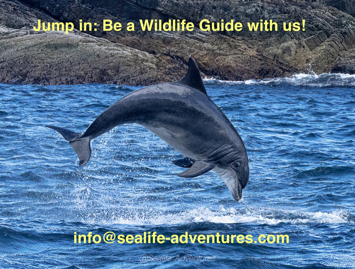 Sealife-Adventures (@sealifea) on Twitter photo We are looking for enthusiastic biologists who care about education and conservation. Apply with CV and short presentation to info@sealife-adventures.com
Please share🙂 #biology #conservation #nature #wildlife #scuba #nature #Diving #environment #Jobs #uk #Guide #ecology We are looking for enthusiastic biologists who care about education and conservation. Apply with CV and short presentation to info@sealife-adventures.com
Please share🙂 #biology #conservation #nature #wildlife #scuba #nature #Diving #environment #Jobs #uk #Guide #ecology