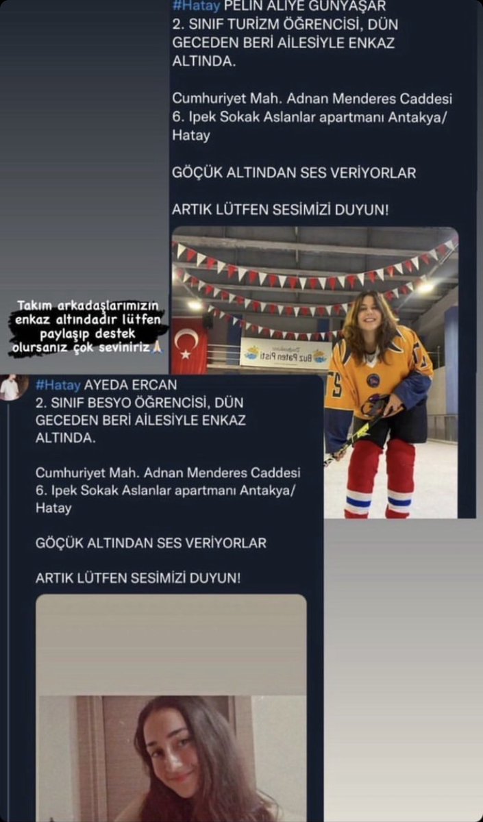 Galin ™ tweet media