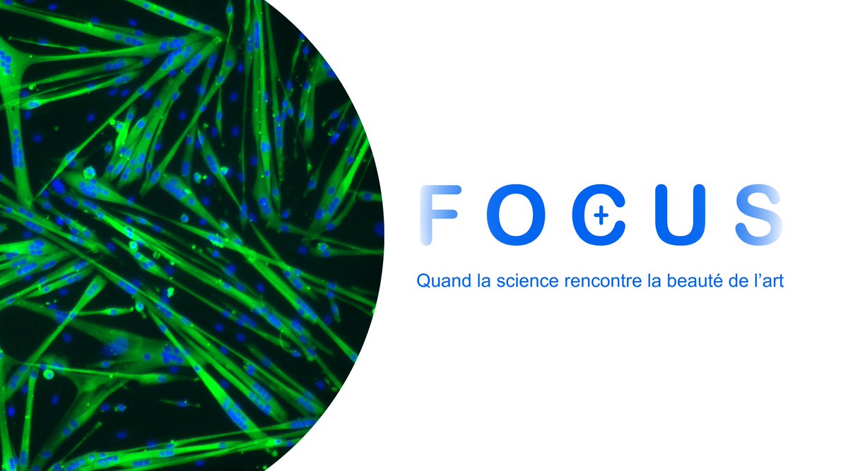 🖼 🧪 Pour lancer son 20e anniversaire, l'IRIC met sur pied l'exposition FOCUS!

FOCUS mettra en lumière des œuvres scientifiques créées par la communauté de l’Institut, au Projet Casa!

Soyez des nôtres : 
👉 iric.ca/fr/a-propos/ev…
