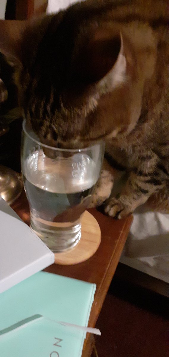 AnneDeak's tweet photo. Someone is getting ahead of this exercise rehydration 😅 https://t.co/FH44ssqakM