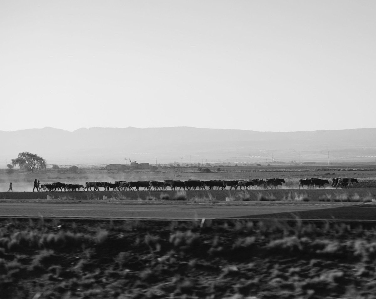 #scouting #nogalera #featurefilm #juangarrafa #bn #lightoonfilms #veracruz