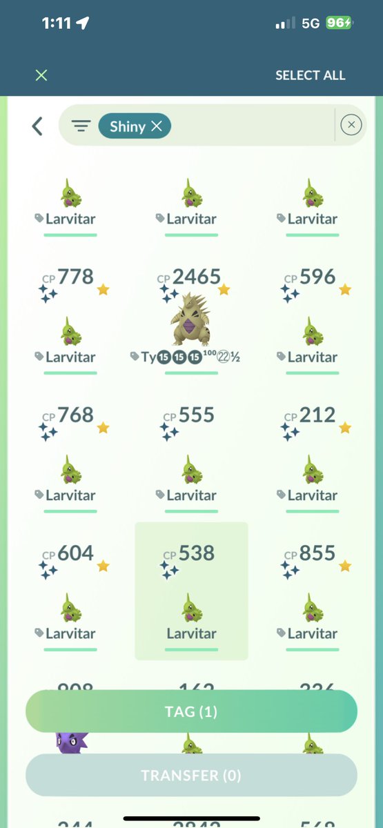 havok_killers's tweet image. @NianticHelp  why can’t shinies be transferred anymore ???? We used to be able to!?!?!? #Nontransferable #POGOGLITCHES #OhBoyHererWeGo