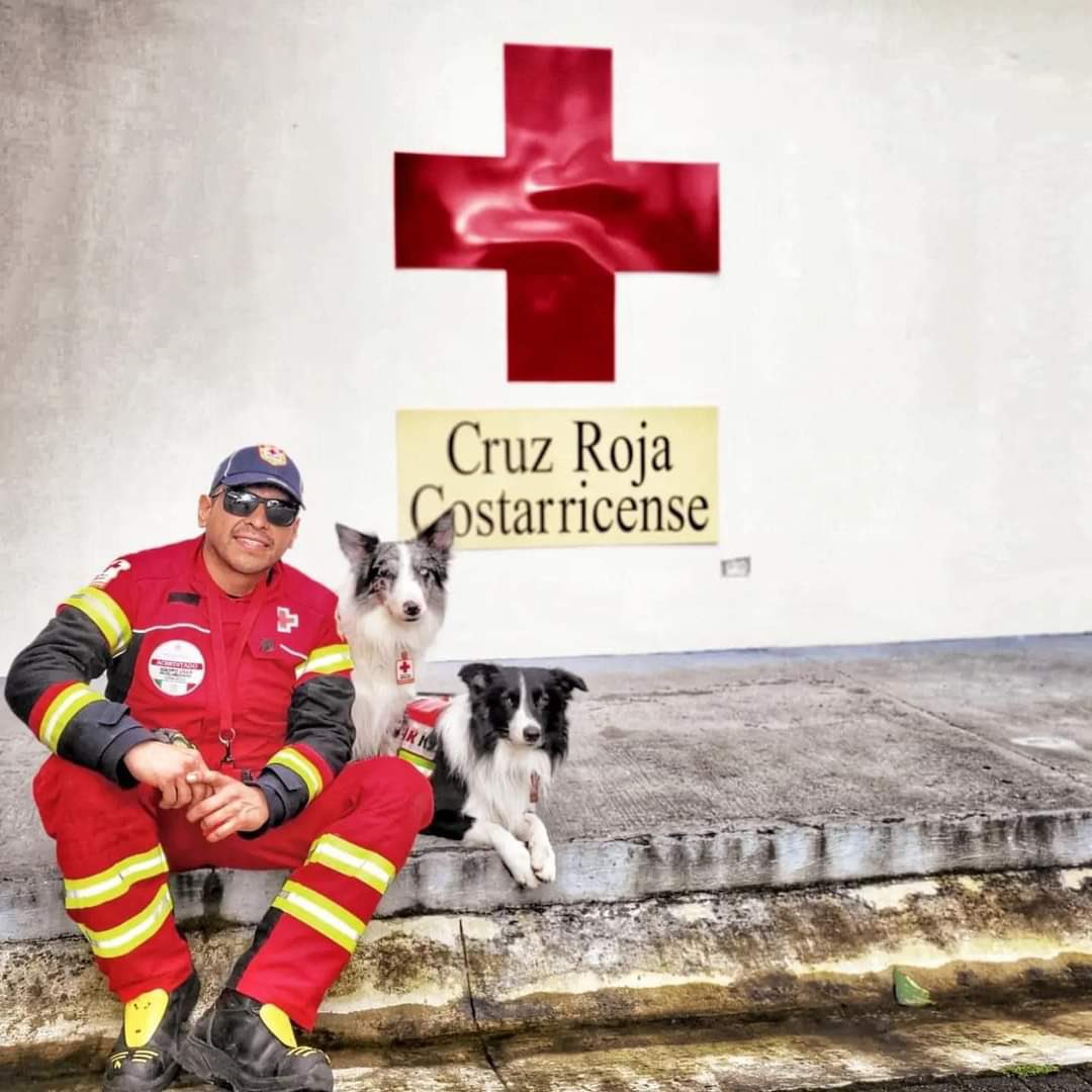 SoyOtraAriana's tweet image. Allá van nuestros héroes mexicanos… Edgar, Balam y Orly, los hijos de #Athos están volando ✈️ a #Turquia, para ¡SALVAR VIDAS!. 

Binomios caninos de la Brigada de Búsqueda y Rescate de la @Cruz_Roja_Qro 🐕‍🦺⛑️🏢

#Terremoto #TurkeyQuake #TurquiaTerremoto #TurquiaySiria