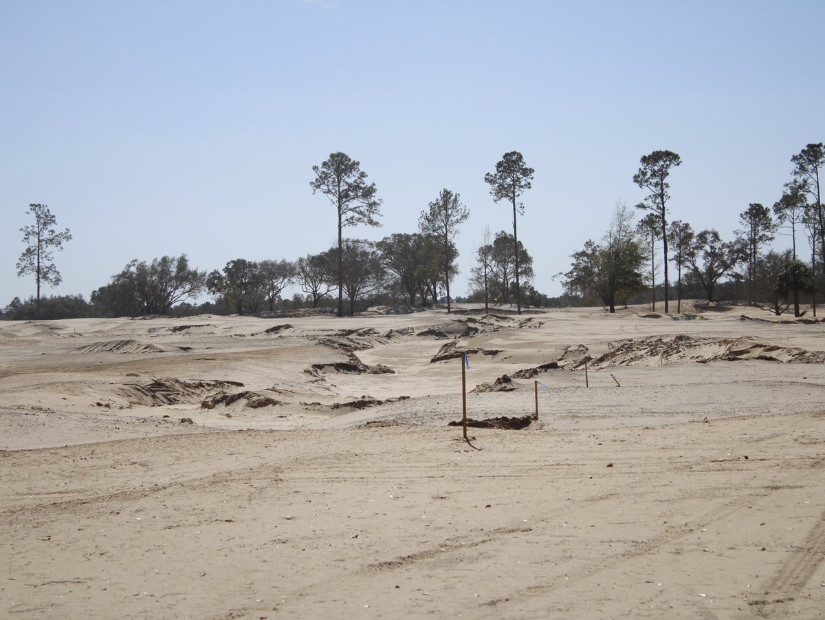 I am officially on the <a href="/CabotCitrus/">Cabot Citrus Farms</a> mega hype train after walking all 18 holes on Barrens. I need to play it!! 

8 from the fairway
17 tee
1 tee (sick opening hole)
18 tee (one of the renderings)