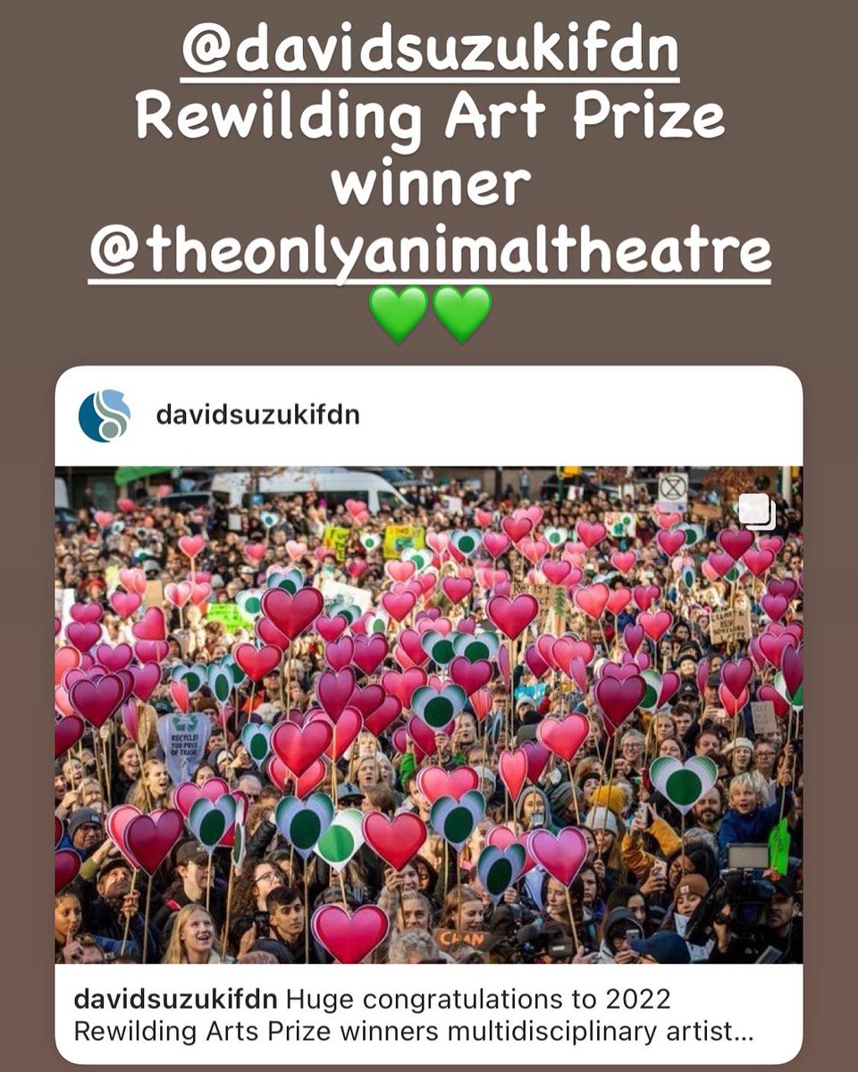 The Only Animal tweet media