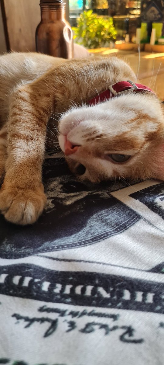 Pallavi84575641's tweet image. @DailyPicTheme2 
#different   #prespective