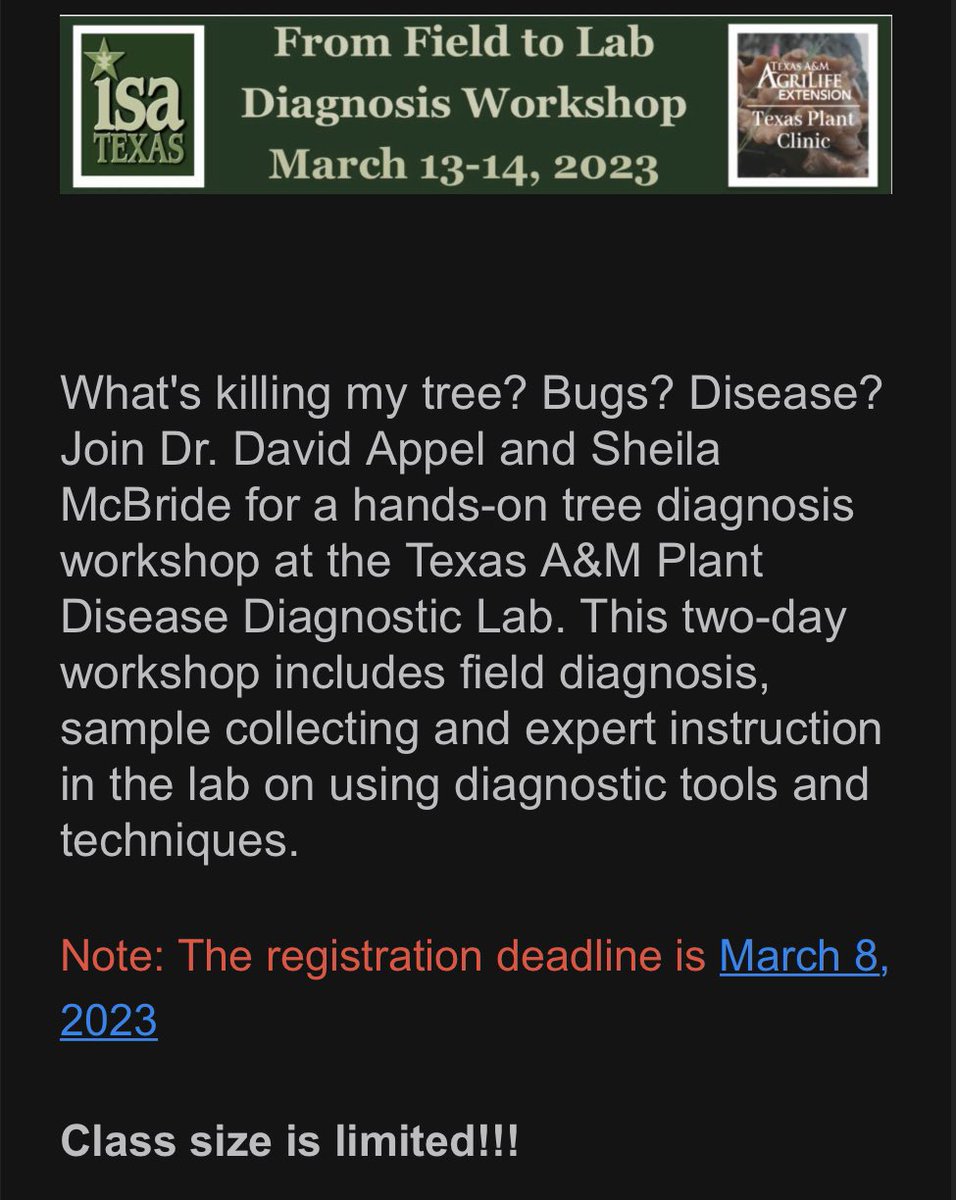 TX Chapter ISA tweet media