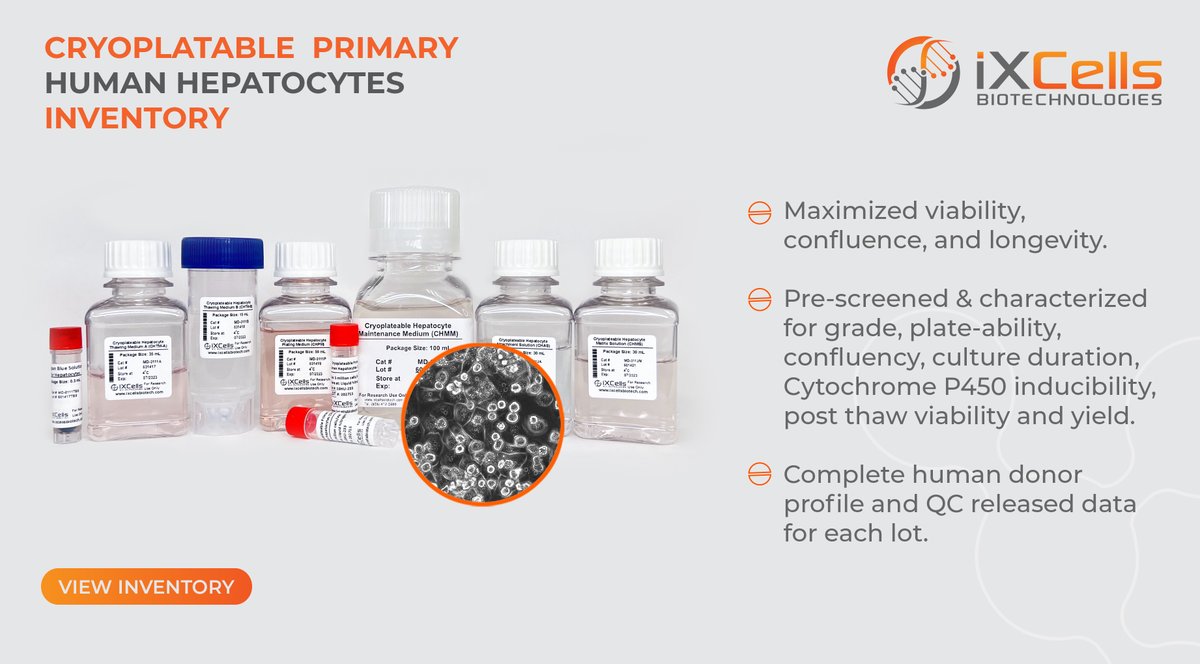 Working on #ADME-Tox models? Enhance the efficiency of drug #metabolism, #toxicology, and pharmacology studies with iXCells high-quality Cryoplatable Primary Human #Hepatocytes.
Click here lnkd.in/gz37y7Ez to access the data and view our inventory
#livercells #primarycells