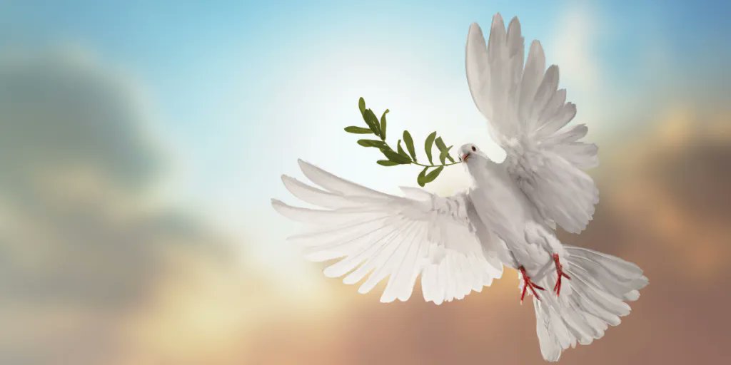 LornaByrne's tweet photo. When we pray for peace we must remember to take out any anger or hatred out of our hearts and replace it with love, compassion and kindness.
Blessings Lorna
#prayforpeace #love #compassion #kindness #replacehatewithlove #haveloveinyourheart #lovealways #prayingforpeace #peace https://t.co/Ke3y9rMFgI