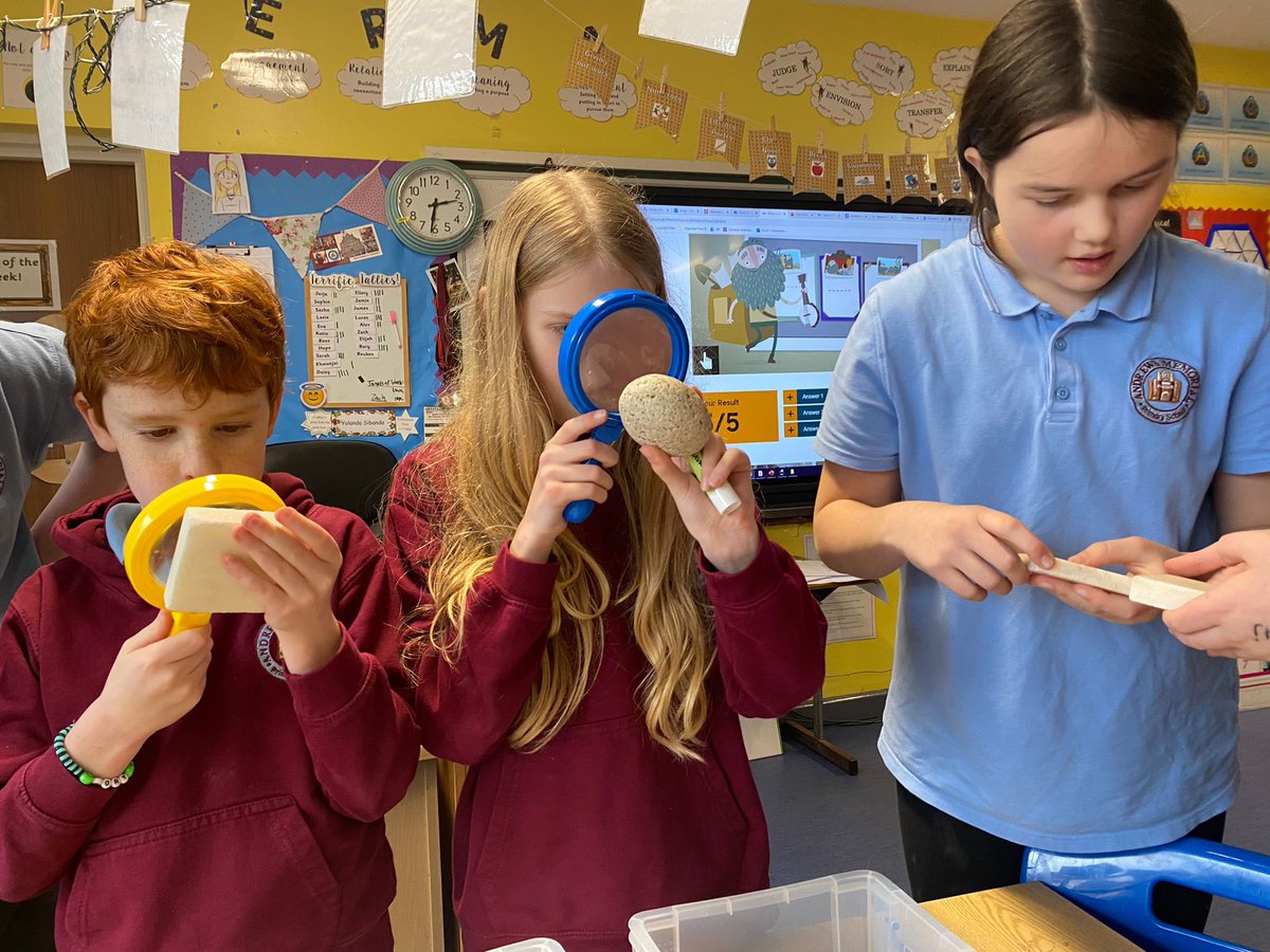 AndrewsMPS's tweet photo. School Rocks! P7 ‘adopting’ pet rocks this afternoon. Bertie Basalt,  Lisa Limestone and Mr Sandstone. What was yours called? #SupportGSL #geologicalsociety https://t.co/90byxoIdTY