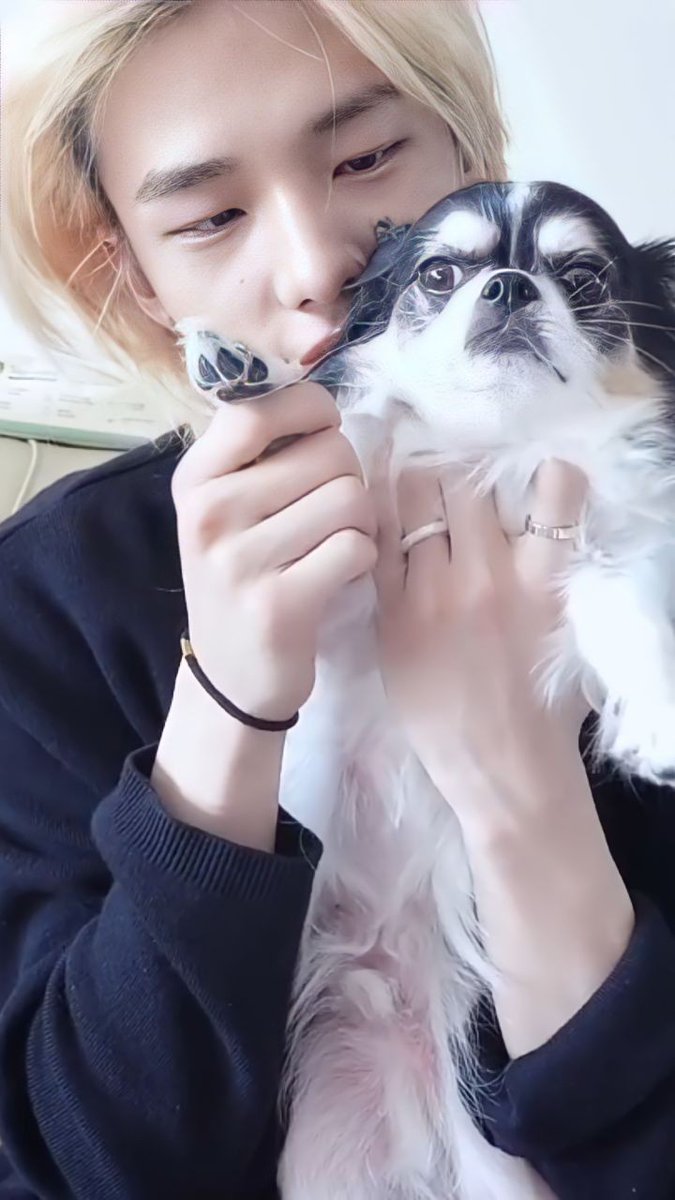 I was dreaming then gean become my dream and i know it's was a good thing, safest dream.